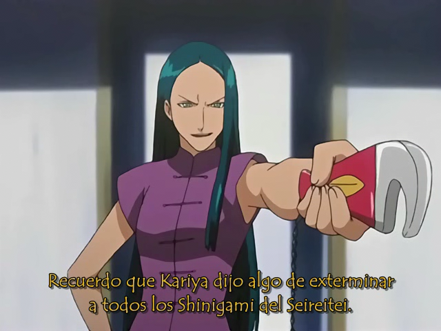 Bleach (Frozen-Layer Fansub, Xtasy no Fansub, Anifuture Fansub, Nine Tails Fansub, Seigi Tamashi, Backbeard)